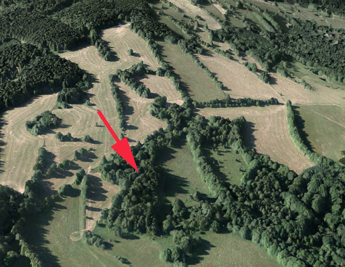 Prodej lesa 28206 m²