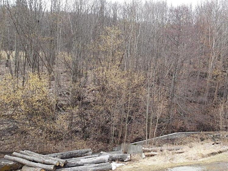 Grundstück zum Kauf, 5.983 m² (3 von 9)