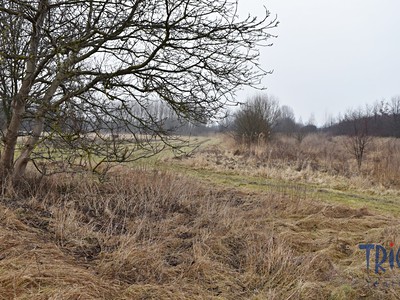 Grundstück zum Kauf, 1.685 m² (2 von 5)