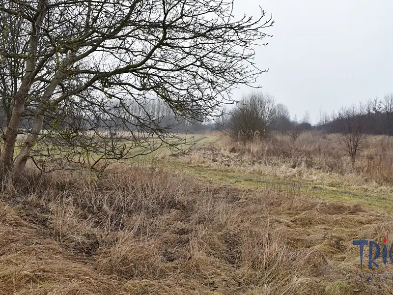 Prodej louky 1685 m², Velký Třebešov – náhled fotky 2