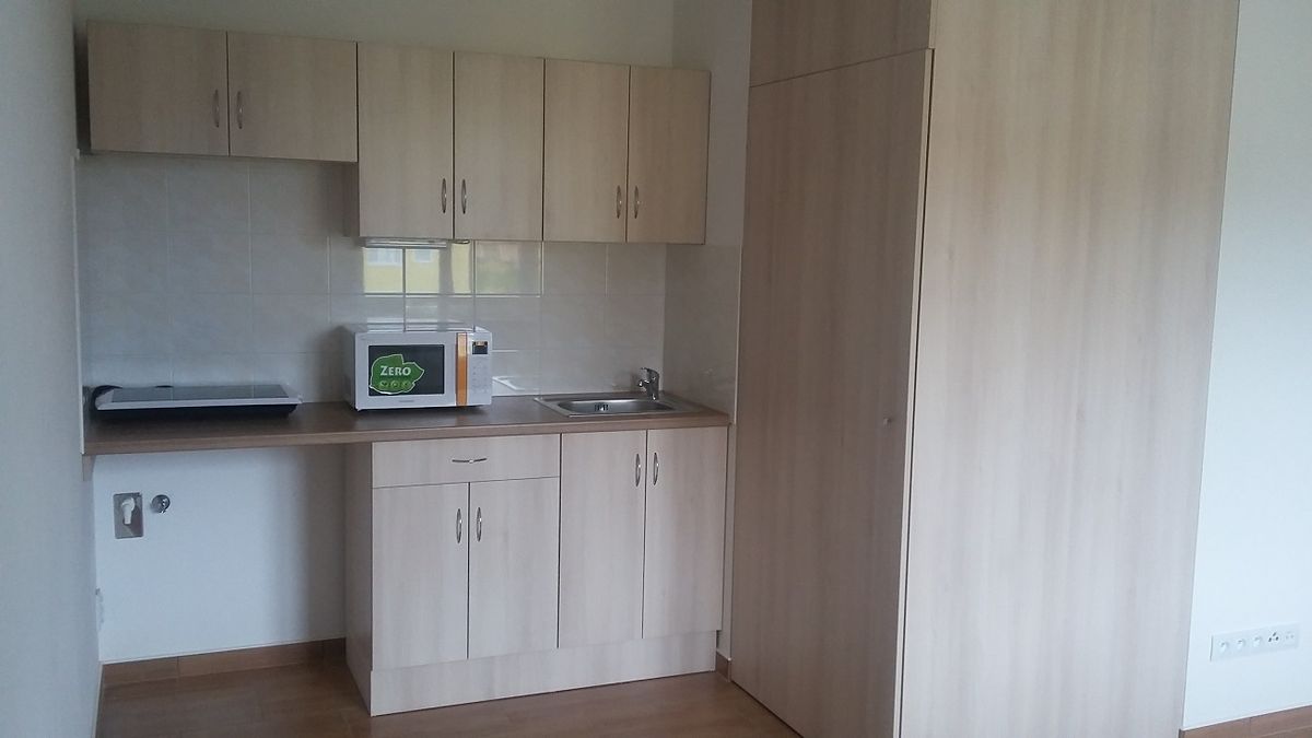 Pronájem bytu 1+kk 25 m² – fotografie 4