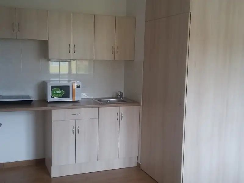 Pronájem bytu 1+kk 25 m², Přáslavice – náhled fotky 2