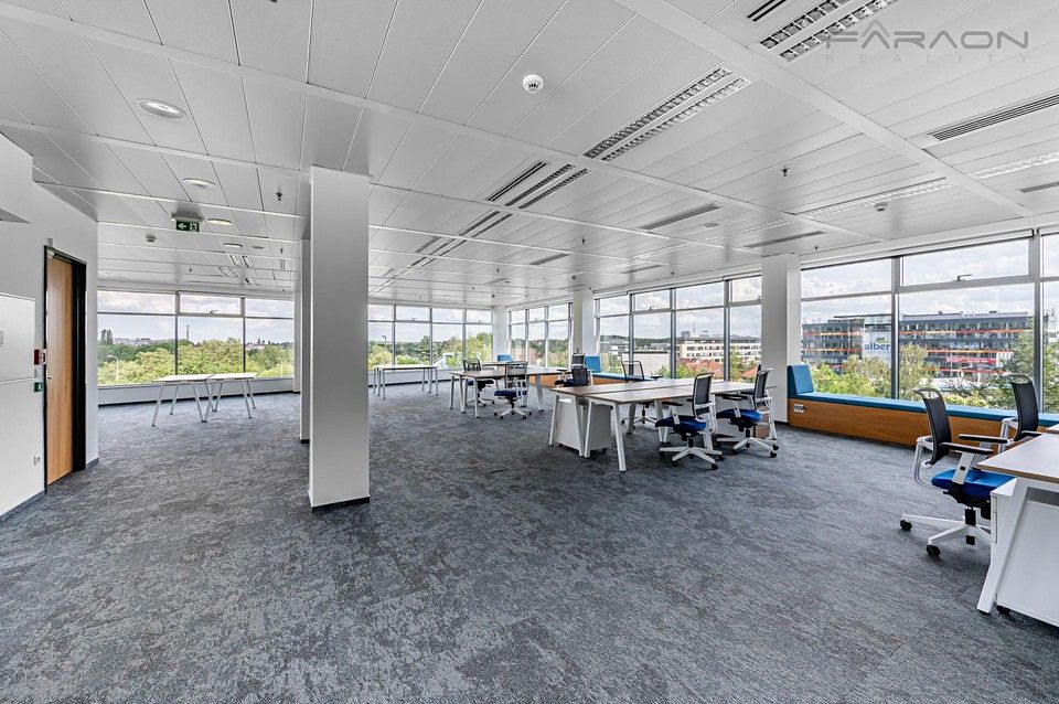 Pronájem kanceláře 924 m² – fotografie 5