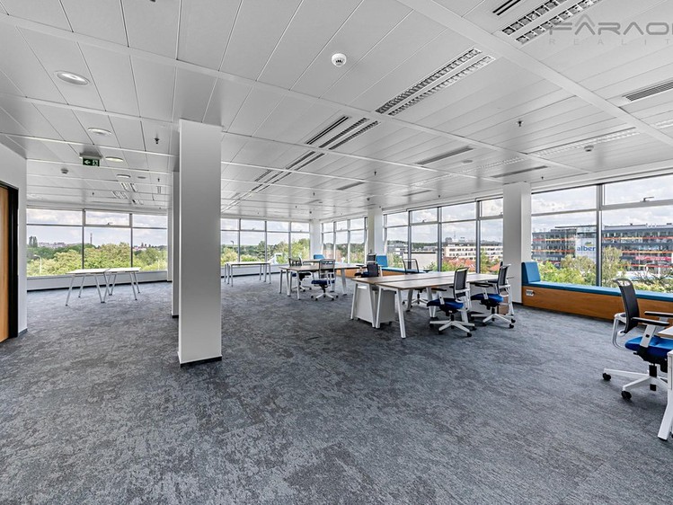 Gewerbefläche zur Miete, 924 m² (5 von 12)