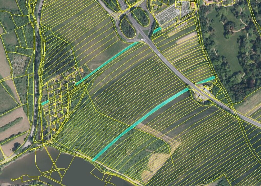 Pronájem pole 6040 m² – fotografie 3