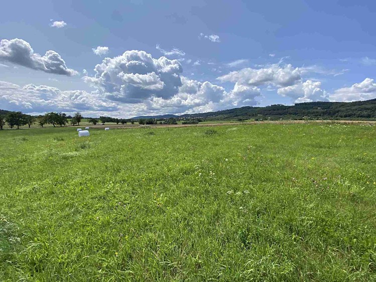 Grundstück zum Kauf, 55.481 m² (11 von 30)