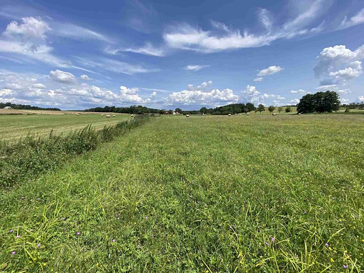 Grundstück zum Kauf, 55.481 m² (21 von 30)