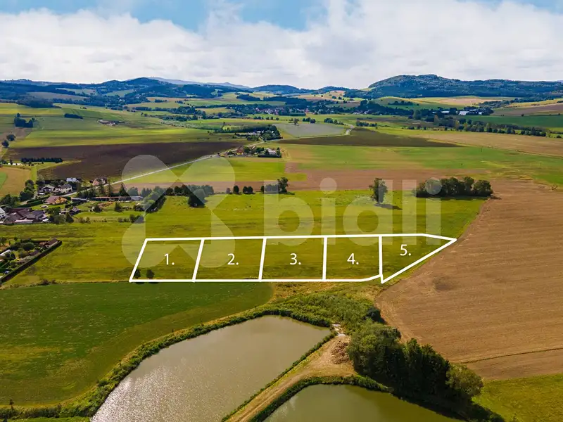 Prodej stavebního pozemku 17343 m², Nýrsko – náhled fotky 1