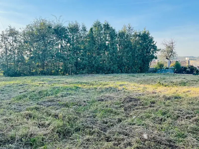 Prodej stavebního pozemku 753 m², Pěčice – náhled fotky 3