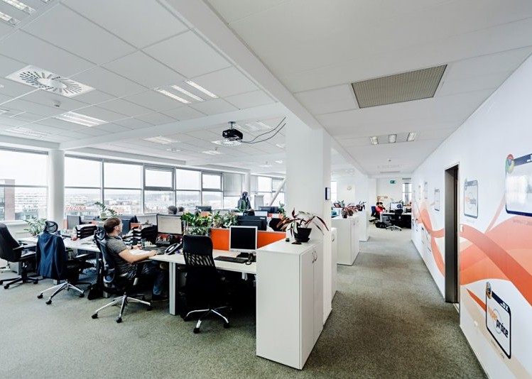 Gewerbefläche zur Miete, 940 m² (4 von 8)