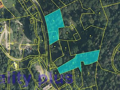 Prodej lesa 4465 m²