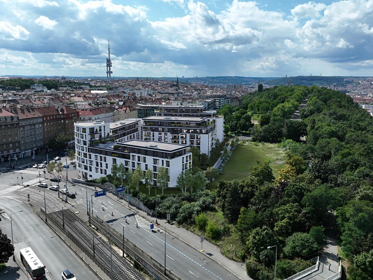Hartigova 3