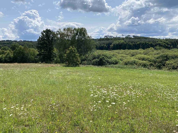 Grundstück zum Kauf, 55.481 m² (4 von 30)