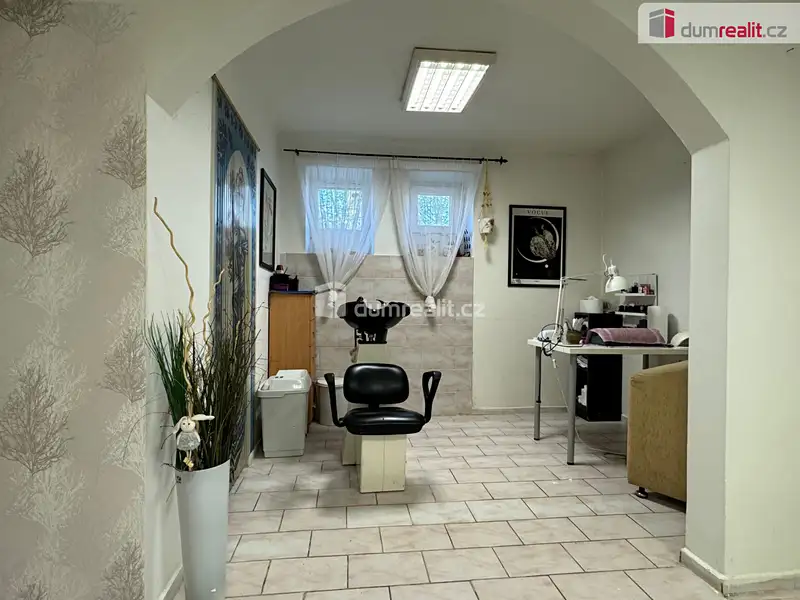 Prodej obchodního prostoru 22 m², Ostrov – náhled fotky 3