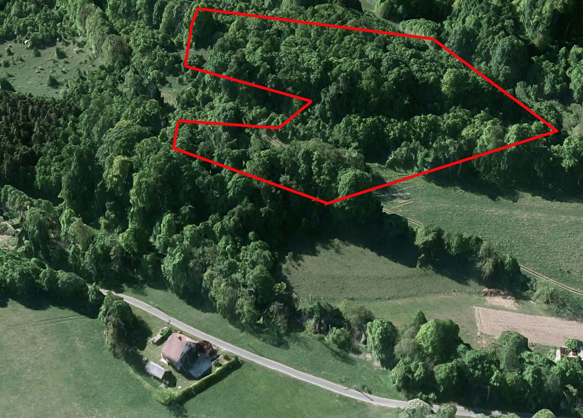 Prodej lesa 23052 m²