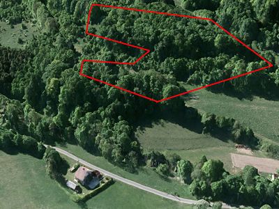 Prodej lesa 23052 m²