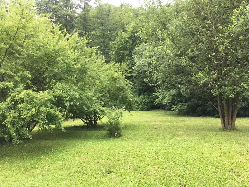 Prodej stavebního pozemku 1474 m², Luhačovice – náhled fotky 2
