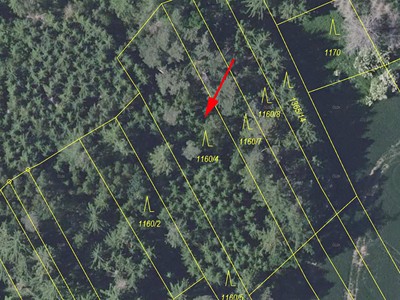 Grundstück zum Kauf, 1.133 m² (2 von 3)