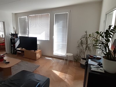 Real Estate Image