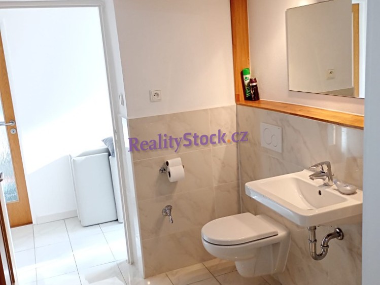 Prodej domu, 280 m² (19 z 33)
