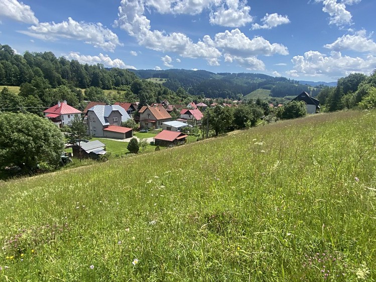 Prodej pozemku, 1 053 m² (4 z 10)