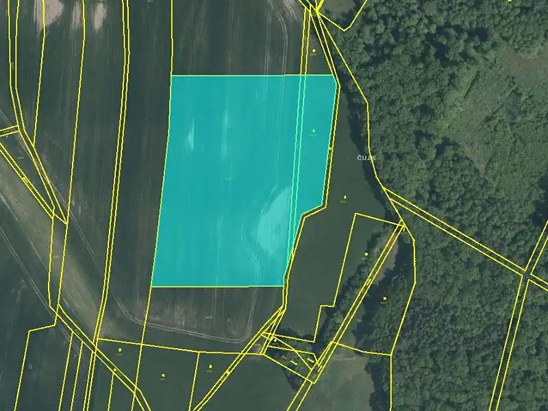 Prodej pole 15905 m², Dolní Roveň – náhled fotky 3