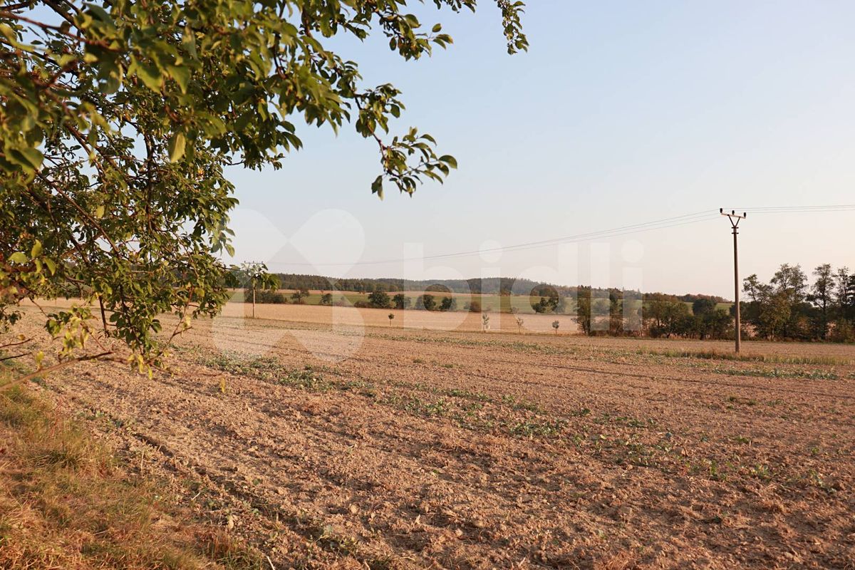 Prodej pole 3030 m² – fotografie 2