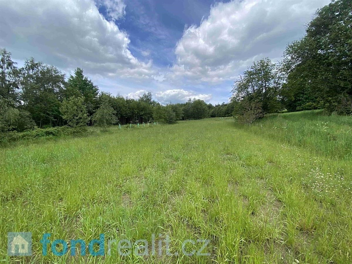 Prodej pozemku 7893 m² – fotografie 3