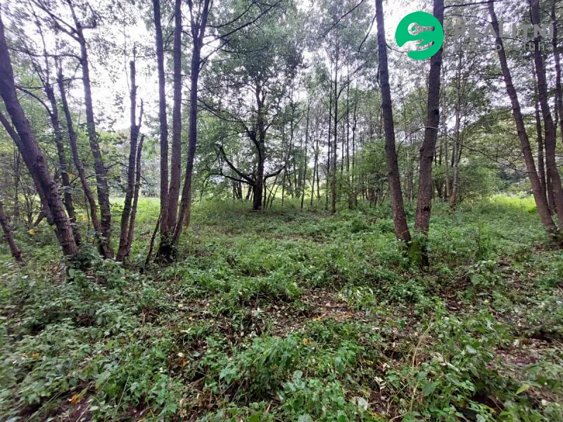 Prodej stavebního pozemku 626 m²