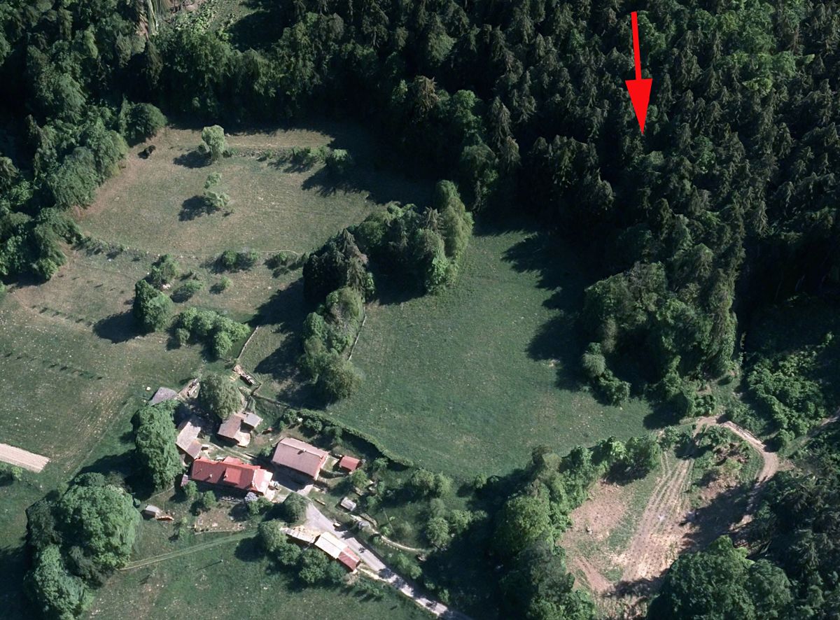 Prodej lesa 198 m²
