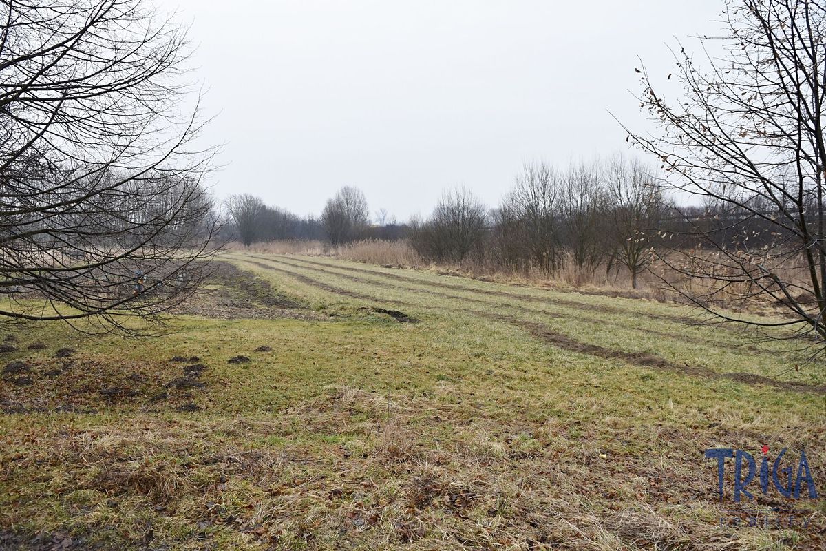 Prodej louky 1685 m², Velký Třebešov – fotka 1 z 3