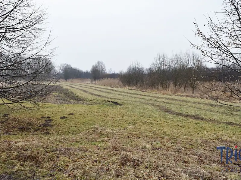 Prodej louky 1685 m², Velký Třebešov – náhled fotky 1