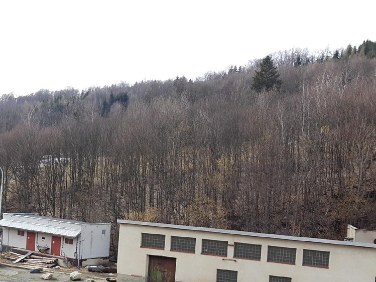 Grundstück zum Kauf, 5.983 m² (5 von 9)