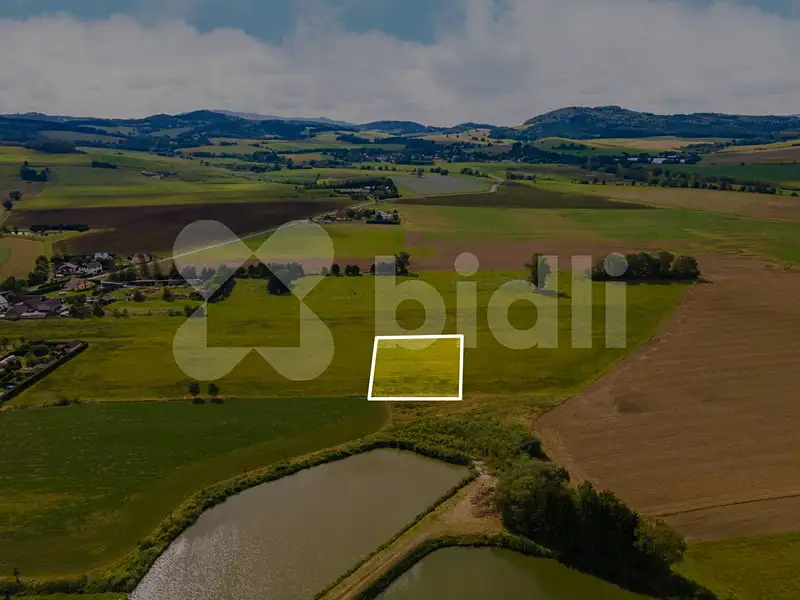 Prodej stavebního pozemku 3324 m², Nýrsko – náhled fotky 1