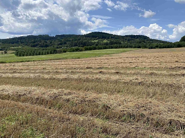 Grundstück zum Kauf, 55.481 m² (22 von 30)