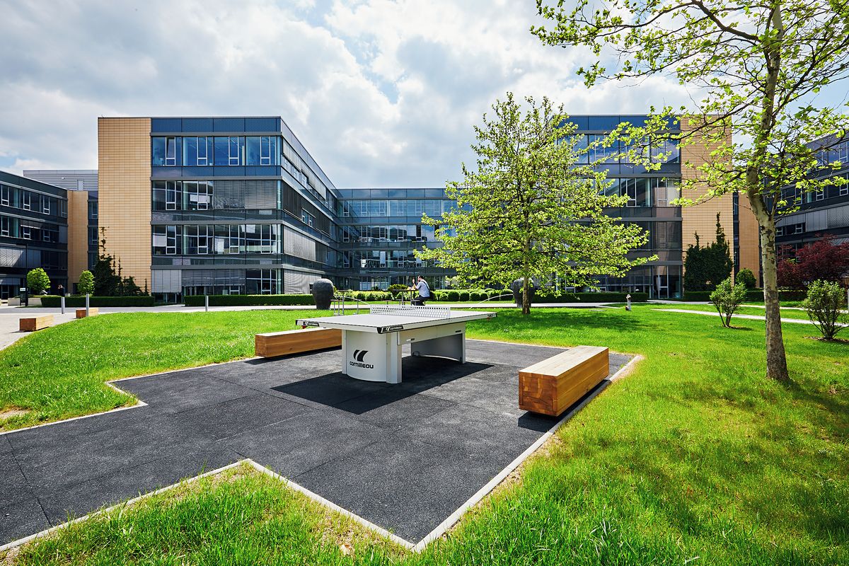 Pronájem kanceláře 2500 m² – fotografie 2