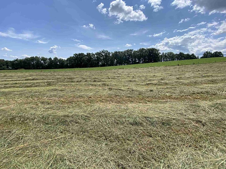 Grundstück zum Kauf, 55.481 m² (15 von 30)