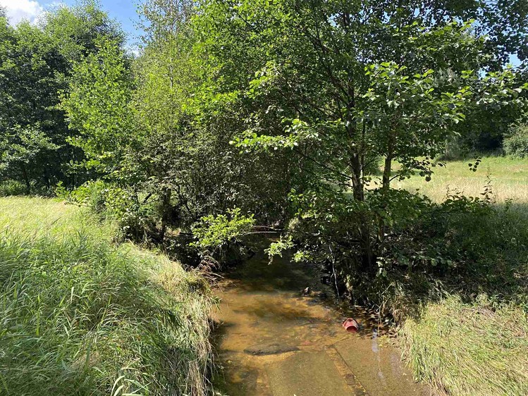 Grundstück zum Kauf, 55.481 m² (28 von 30)