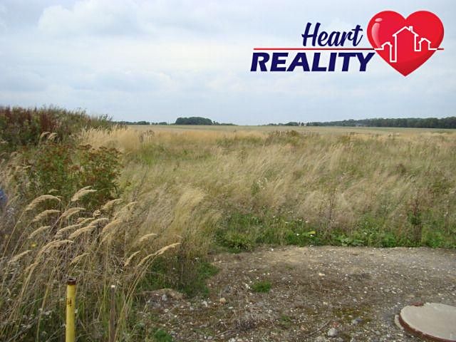 Prodej komerčního pozemku 22500 m² – fotografie 3