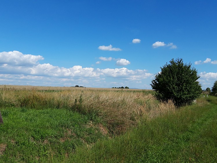 Grundstück zum Kauf, 5.077 m² (4 von 7)