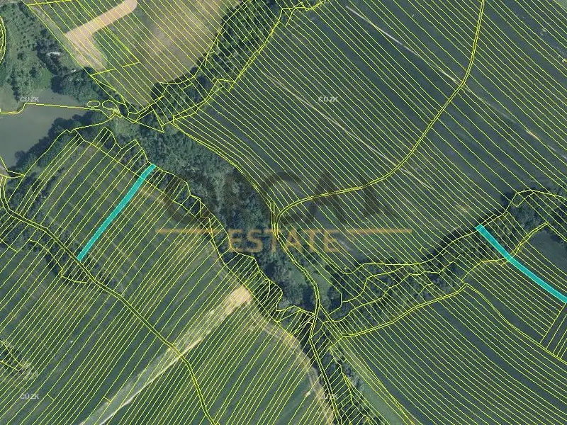 Prodej pole 6356 m², Mistřice – náhled fotky 1