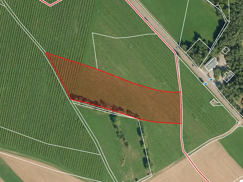 Prodej pole 12035 m², Proseč – náhled fotky 2