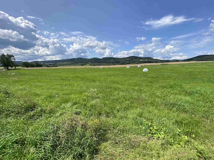Grundstück zum Kauf, 55.481 m² (9 von 30)