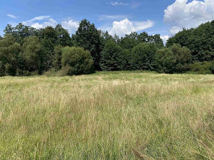 Grundstück zum Kauf, 55.481 m² (27 von 30)
