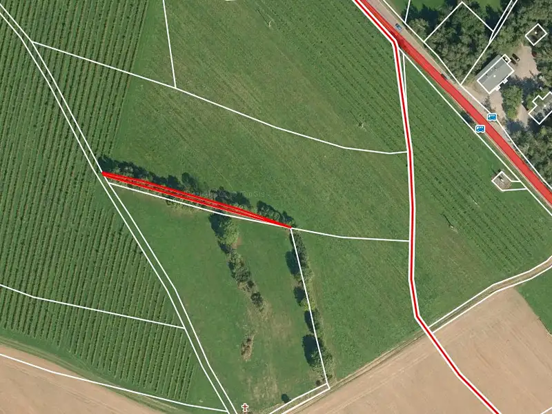 Prodej pole 12035 m², Proseč – náhled fotky 3