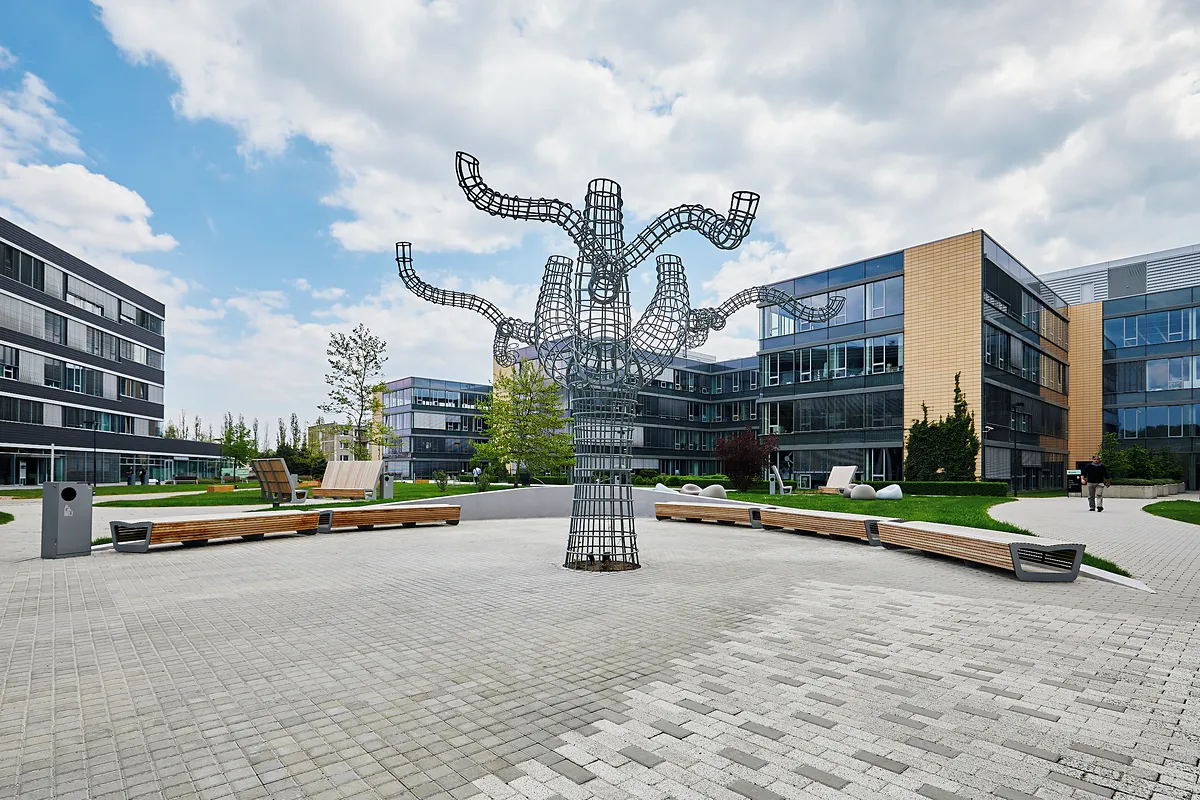 Pronájem kanceláře 2500 m²