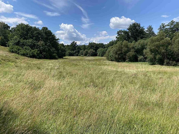 Grundstück zum Kauf, 55.481 m² (26 von 30)