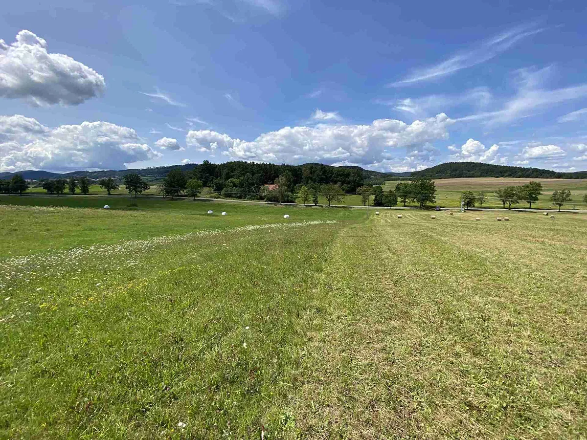Prodej pole 55481 m²