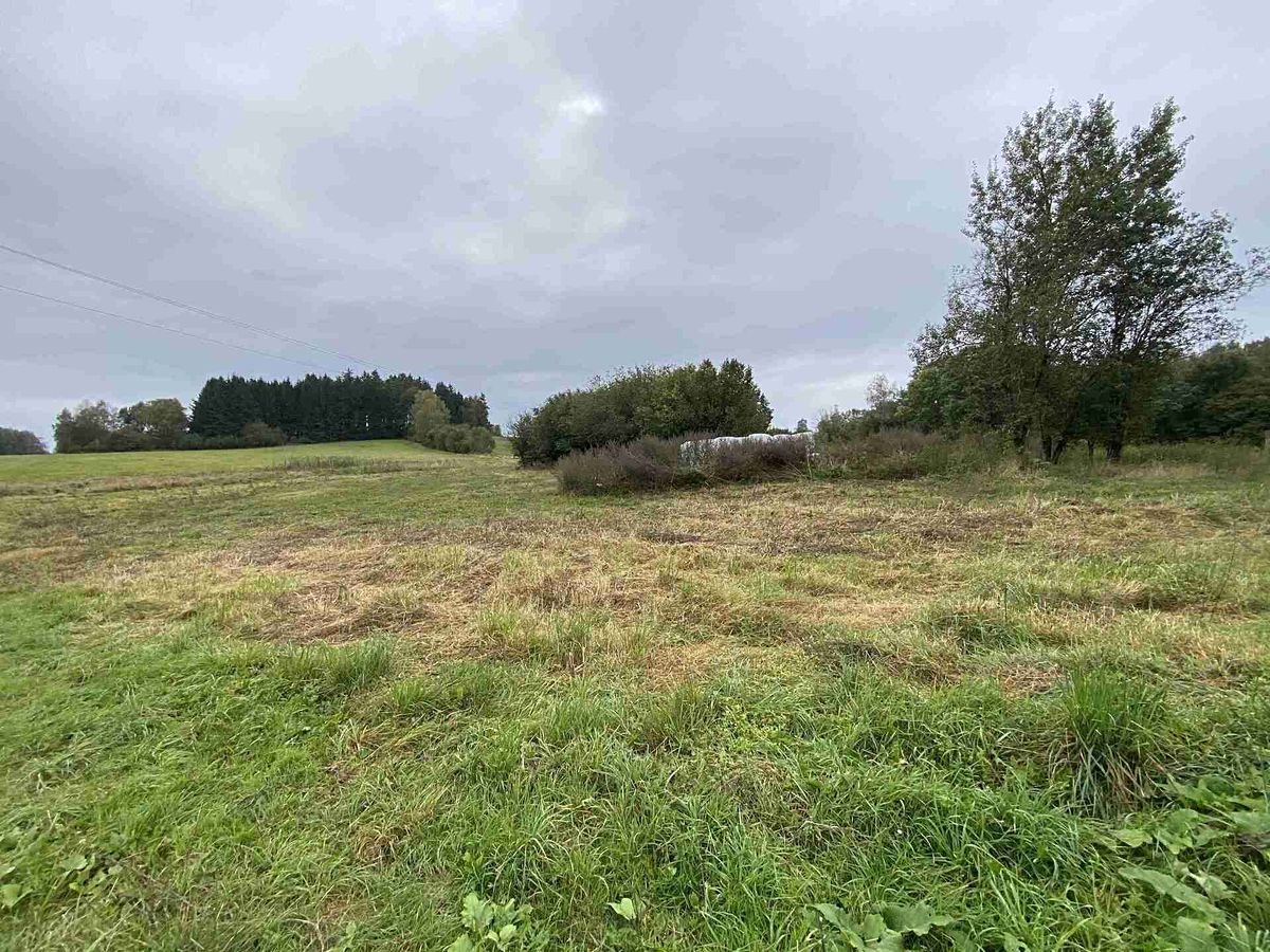 Prodej pozemku 11798 m², Nová Bystřice – fotka 1 z 3