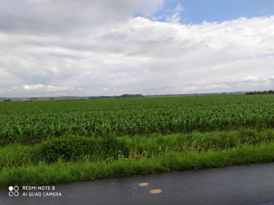 Prodej stavebního pozemku 12434 m²
